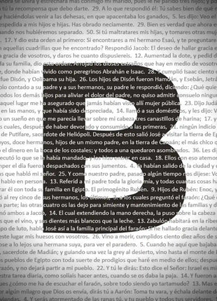 Detalle de la microimpresion del texto de La Biblia completa formando las letras de la lamina