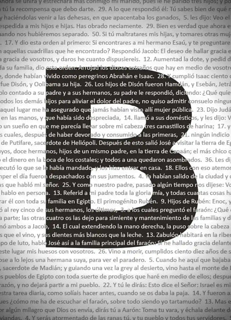 Detalle de la microimpresion del texto de La Biblia completa formando las letras de la lamina