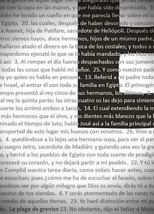 Detalle del texto del Antiguo Testamento en microimpresion de la lamina La Biblia completa