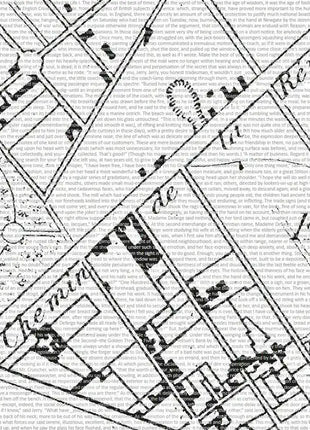 Lámina Historia de Dos Ciudades con el libro completo formando el plano de París